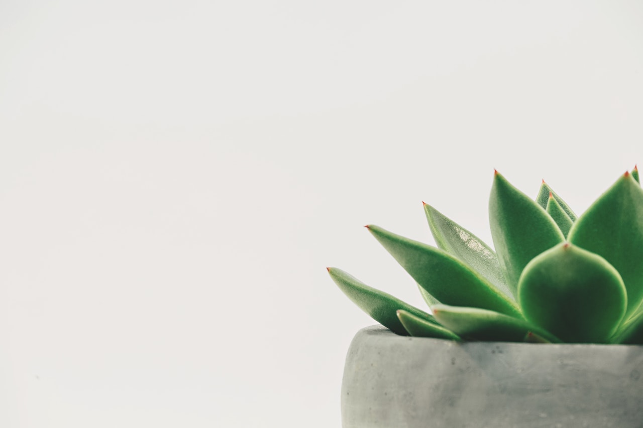 Qué es el minimalismo y como iniciar