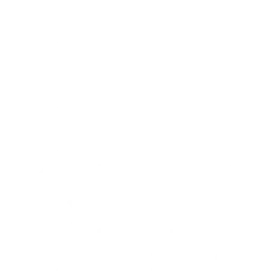 Logo-GNP-Seguros-black